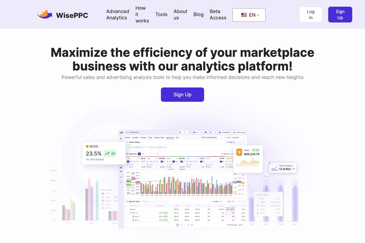 WisePPC homepage interface and features - marketing tool review