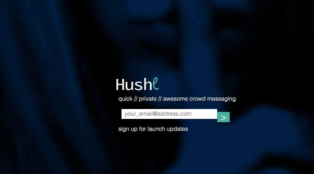 Hushl homepage interface - marketing tool review