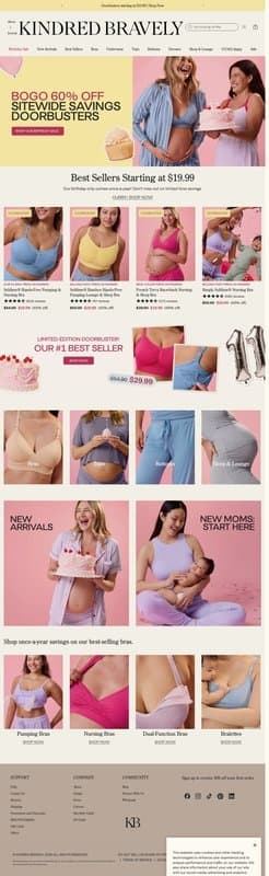 Kindred Bravely homepage interface - marketing tool review