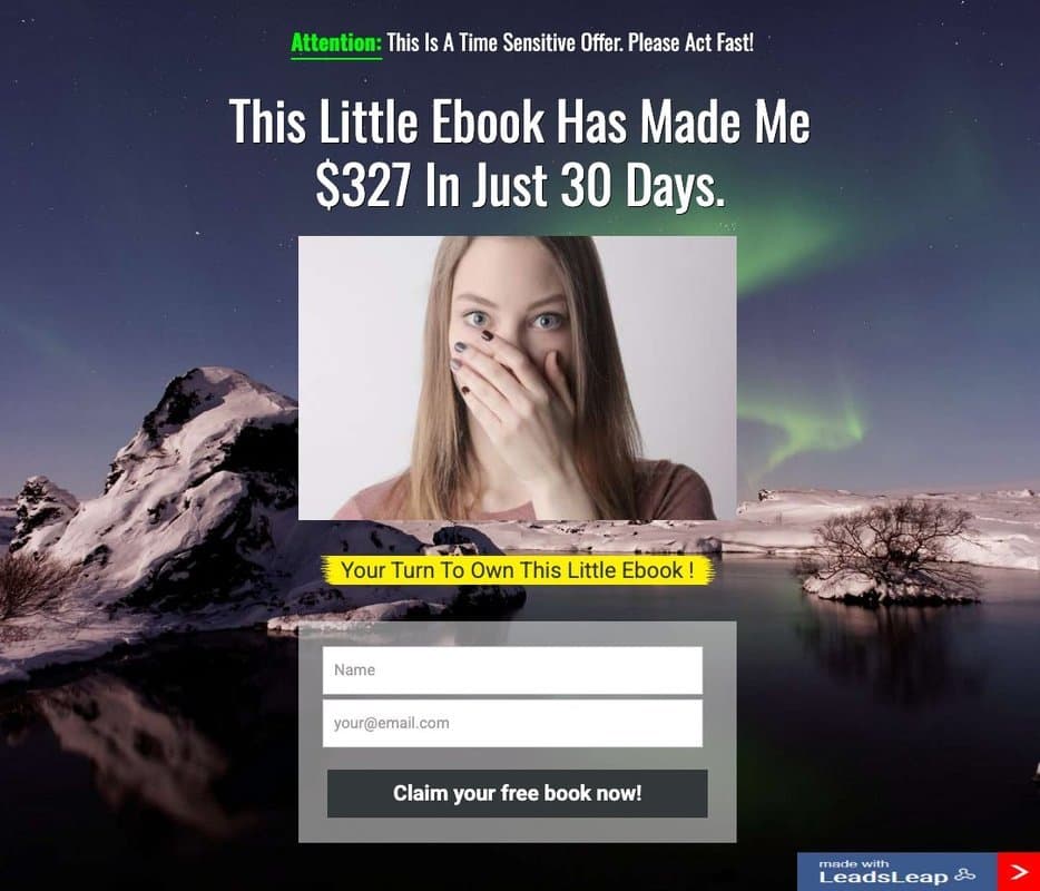 Leads Leap homepage interface - marketing tool review