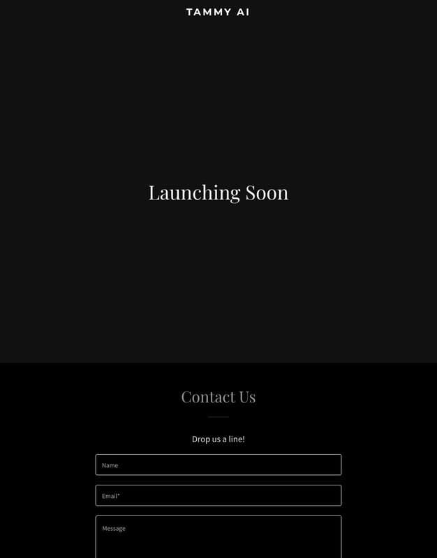 Tammy AI homepage interface - marketing tool review